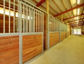 BOXES CABALLOS